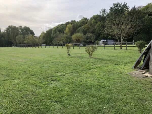 Tailles et entretiens