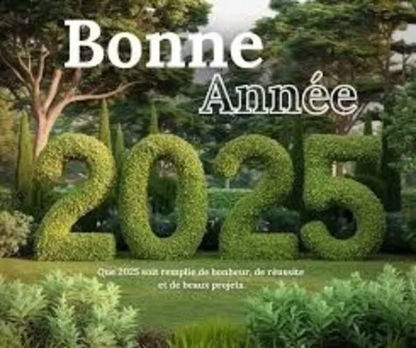 Bonne année 2025